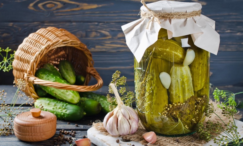 producent kiszonych ogórków