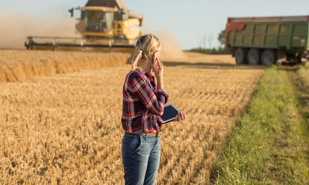 Dotacja dla Młodego Rolnika