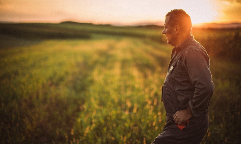 Premia dla Młodego Rolnika