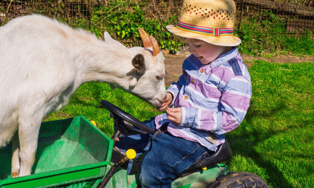restrukturyzacja małych gospodarstw