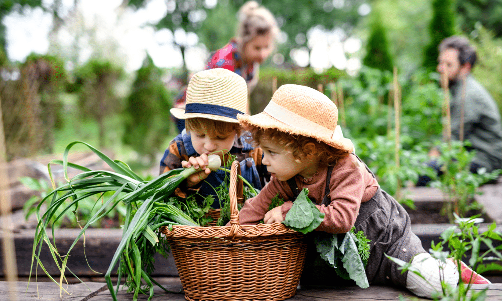 wsparcie dla małych gospodarstw 2024